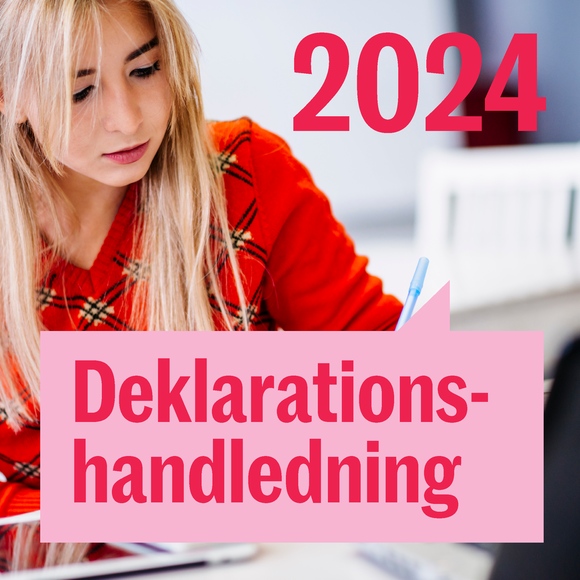 Deklarationshandledning 2024_IG