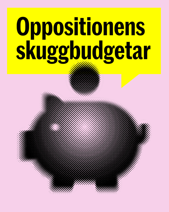 oppobudget-IG