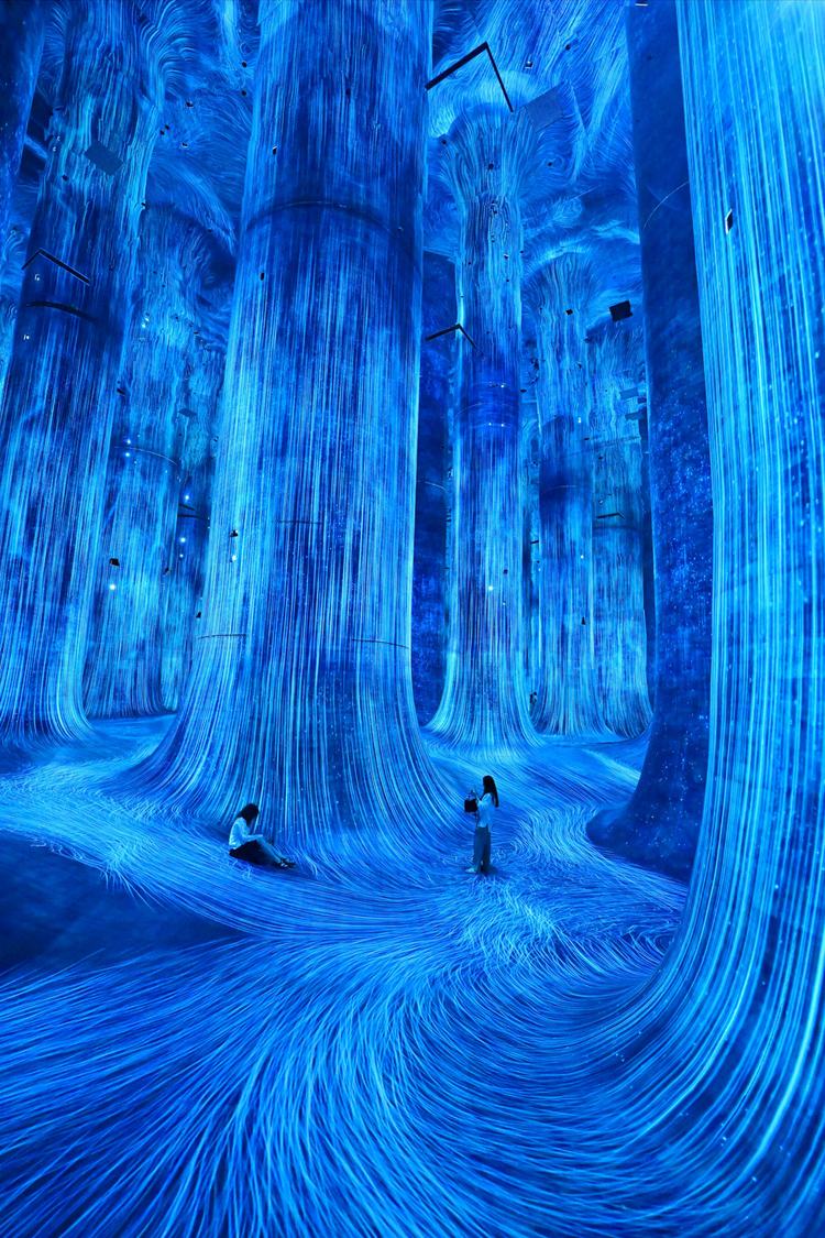 Besökare på Teamlab Phenomena i Abu Dhabi | Foto: TT